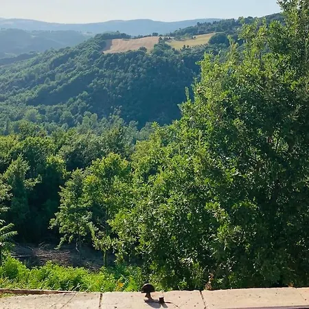 Il Borgo Di Olive