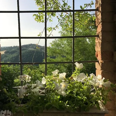 Il Borgo Di Olive 5* Sismano