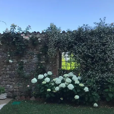 Il Borgo Di Olive Hotell Sismano
