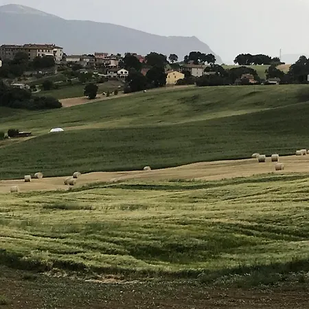 Il Borgo Di Olive 5* Sismano