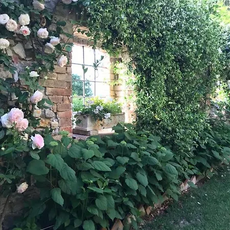 Il Borgo Di Olive